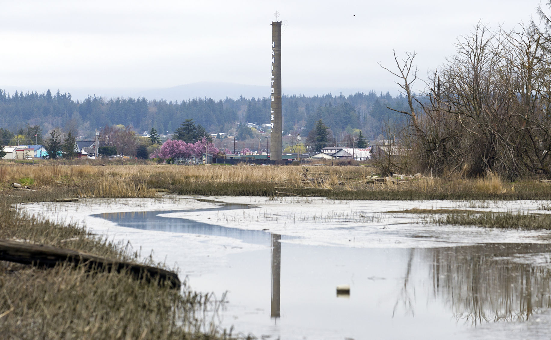 Salmon habitat tour, 3.26.21